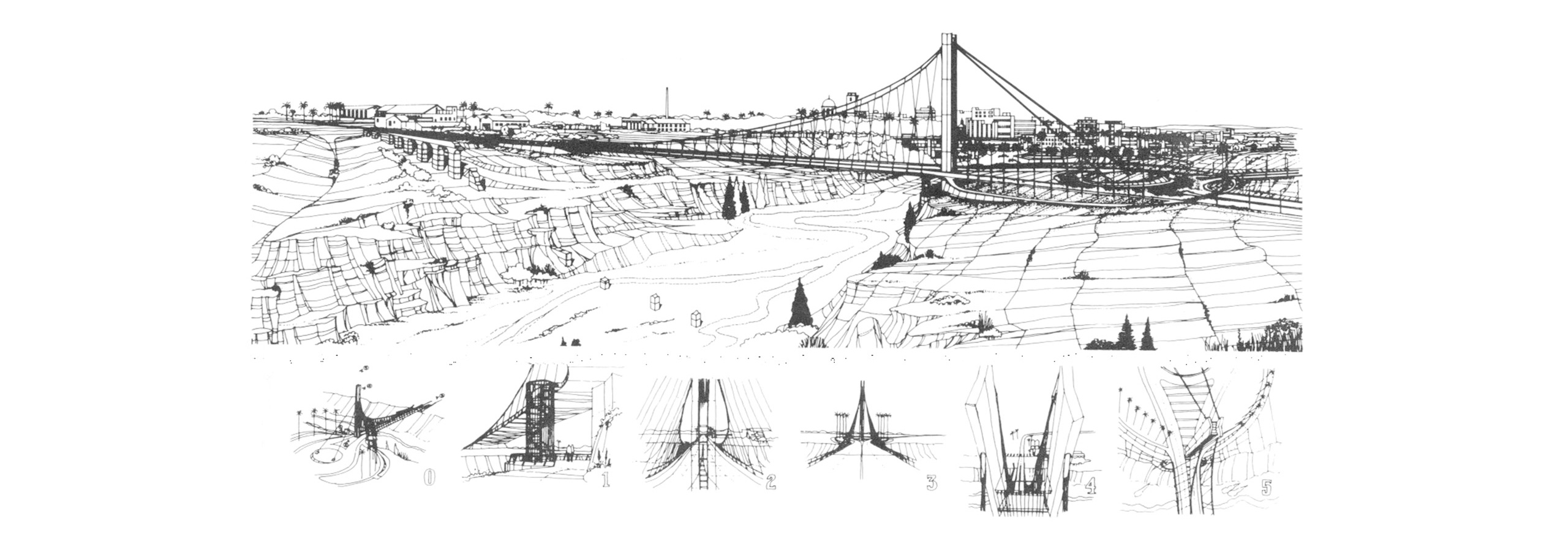 Elche dibujo 2025_10326.jpg